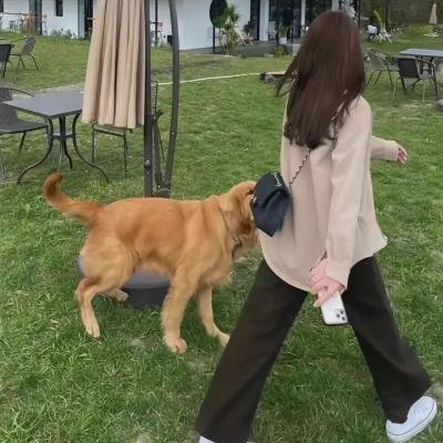 失控特工